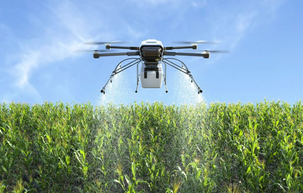 A quad-rotor drone sprays a pesticide on a field of corn.