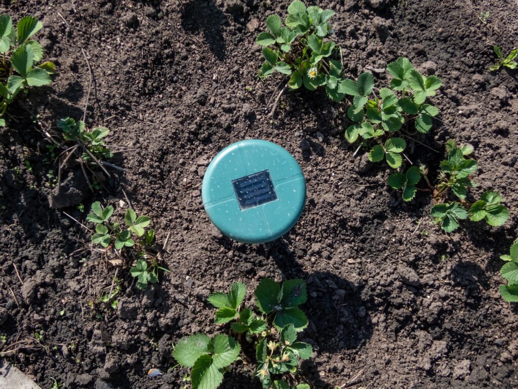 A solar-powered ultrasonic mole repeller in a garden.