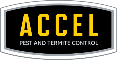 Accel Pest & Termite Control