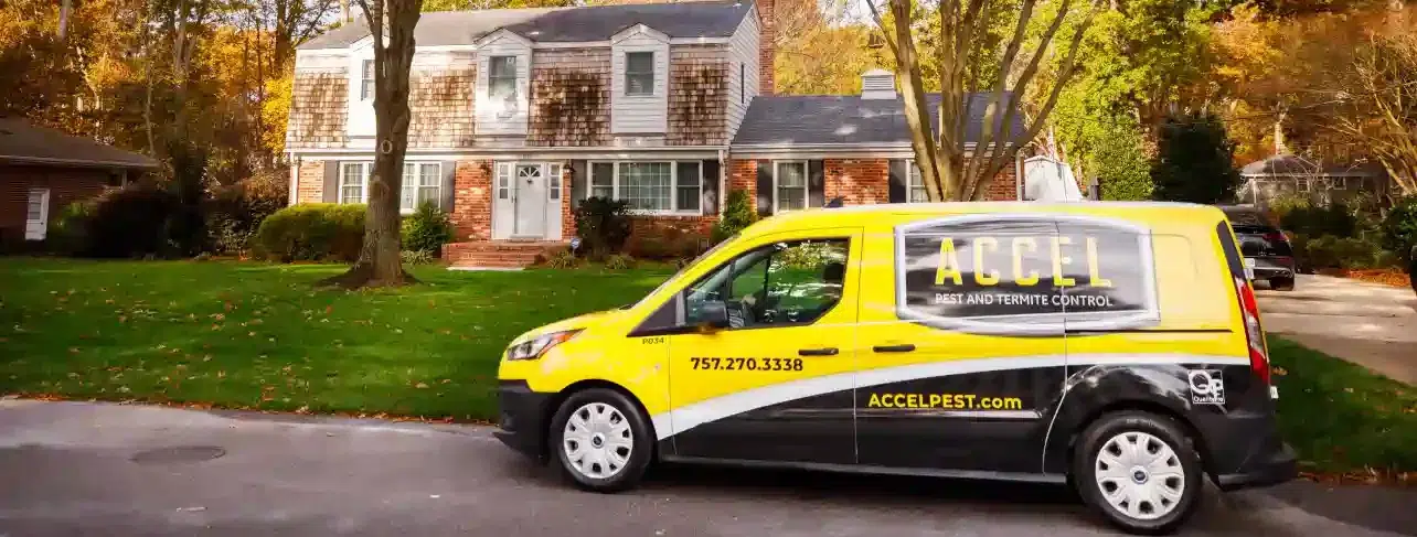 Accel Pest Van