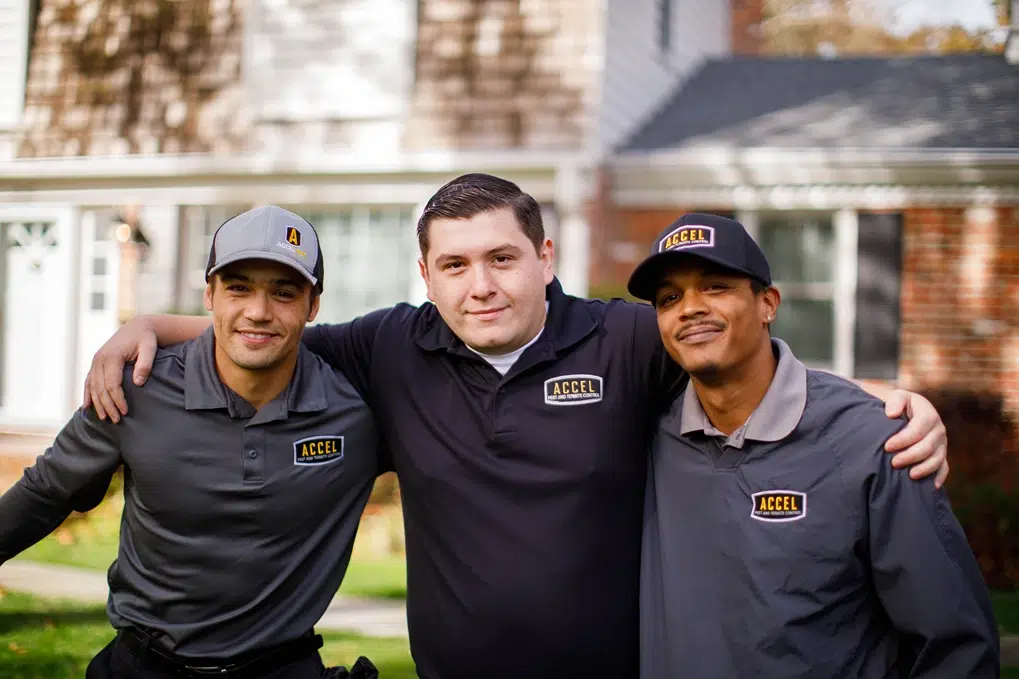 three smiling Accel Pest employees.