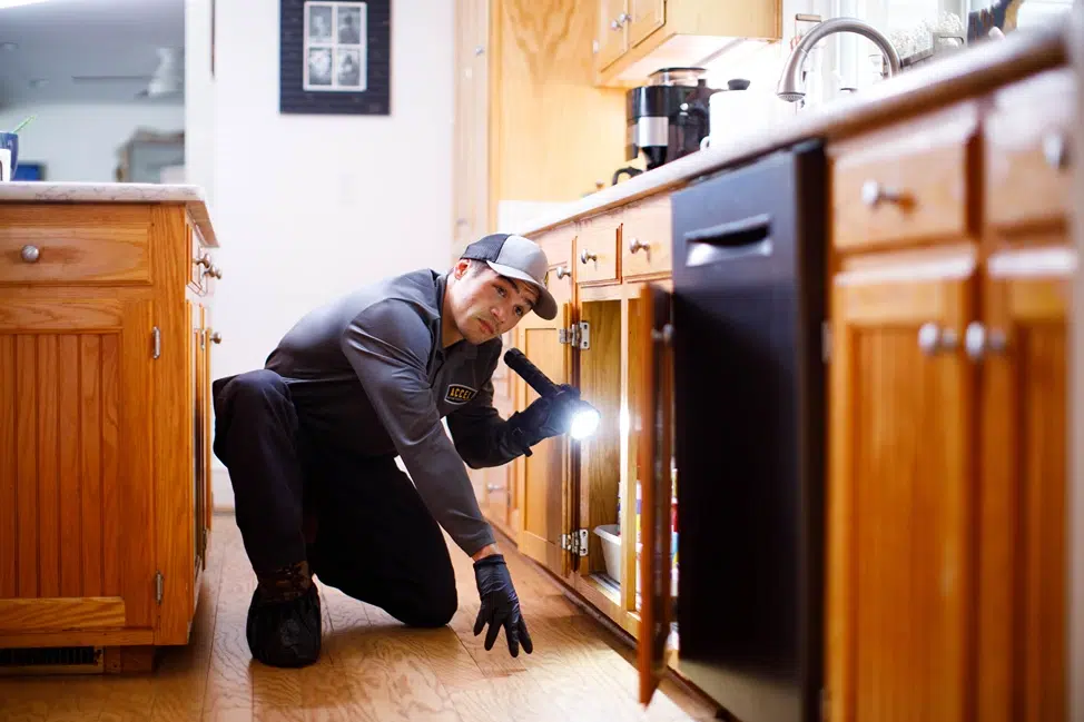 Accel Pest employee working in residential kitchen.