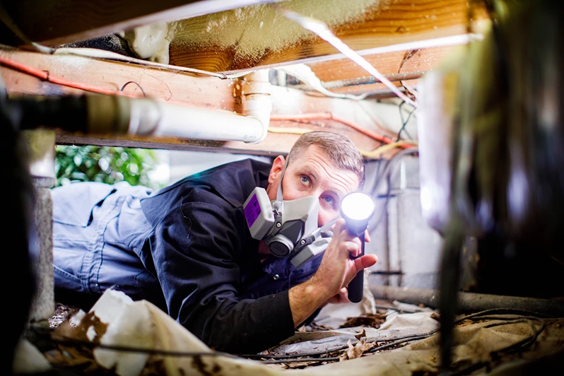 Accel Pest employee investigating crawl space with flashlight.