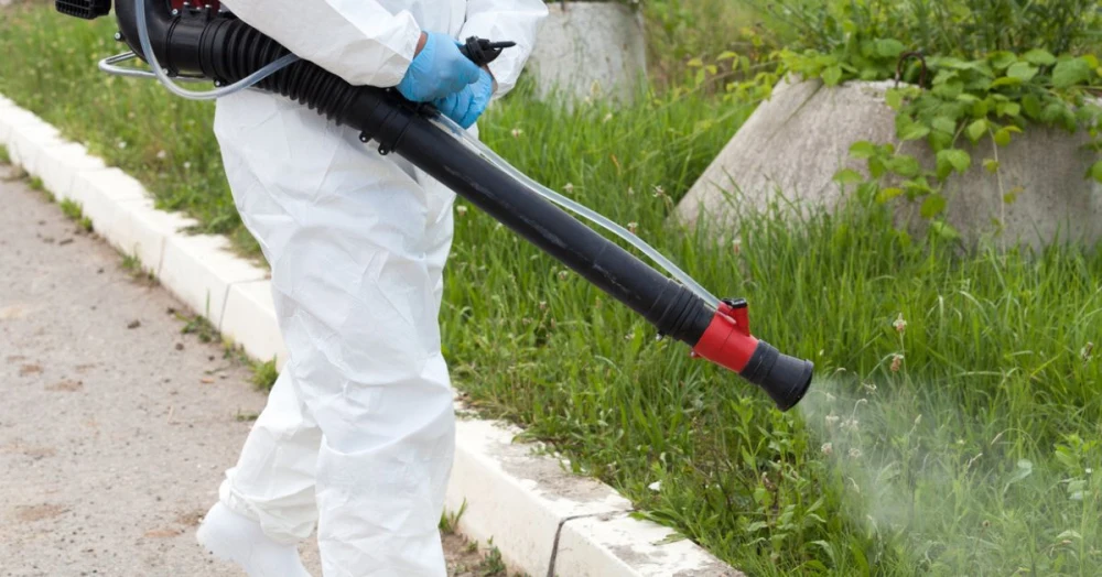 Pest control experts spraying for mosquitoes