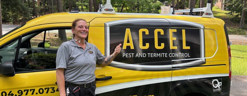 Accel Pest and Termite Control Named the Best Medium-Sized Pest Control Company