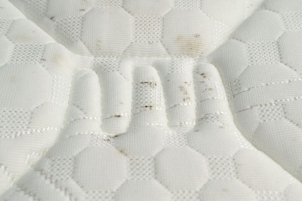 Spots left by bed bugs in a white mattress.